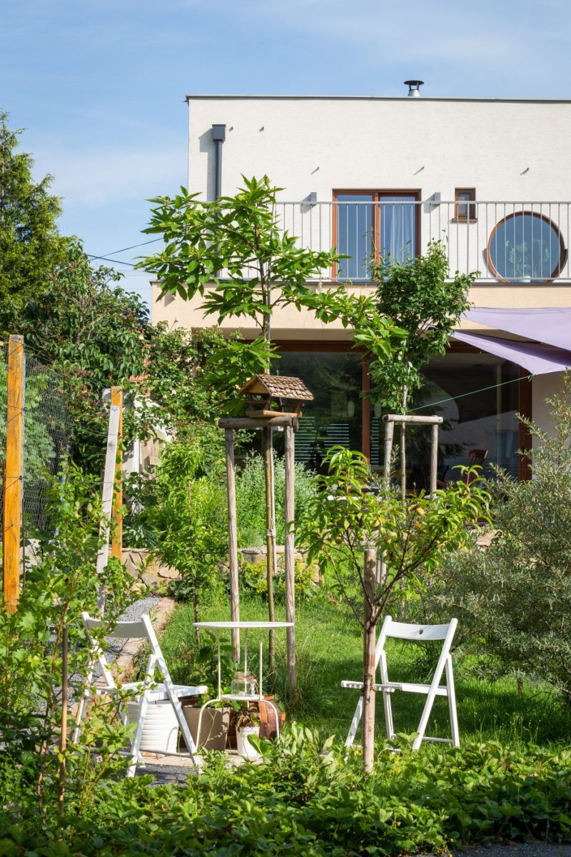 Permakulturní jedlá zahrada v mestěčku Modra