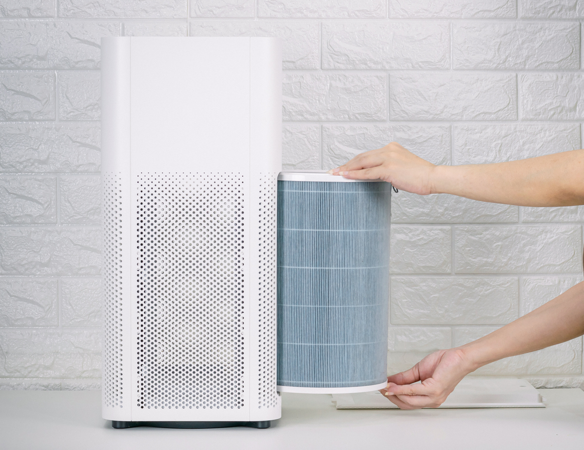 Replace the air purifier filter in the house.