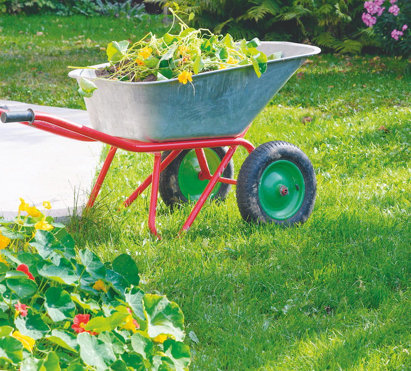 Wheelbarrow,Full,Of,Compost,And,Dry,Flowers,On,Green,Lawn