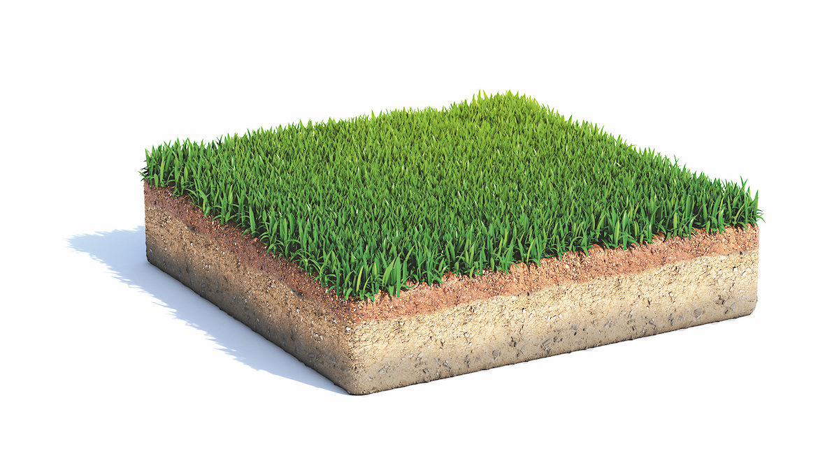 Small square surface covered with grass, grass podium top view, lawn background 3d rendering