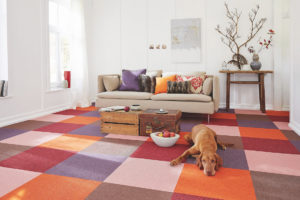 Čtvercový koberec v obýváku