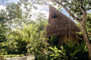 Působivá vila v Mexiku s nádhernou karibskou zahradou