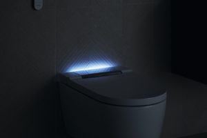 Sprchovací wc v moderní koupelně