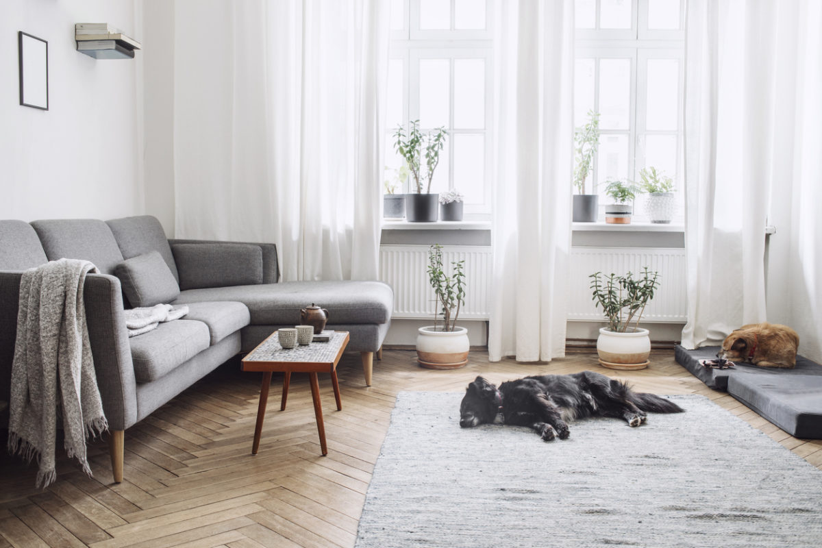 Bílé záclony závěsy v moderním obývacím pokoji