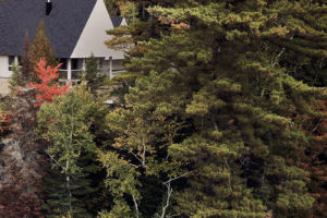 Exteriér s lesy - Chata Orlí hnízdo v Kanadě