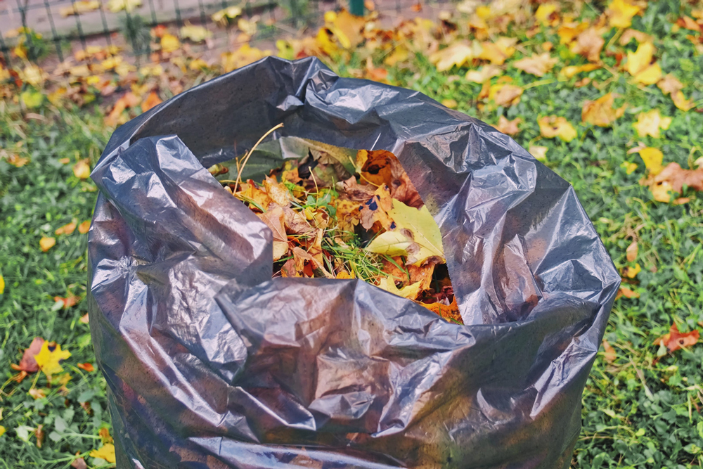 Sběr podzimního listí na kompost do plastových pytlů
