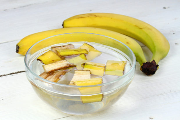 Banánová voda jako domácí hnojivo pro rostliny