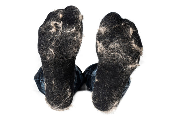 Černé ponožky od chlupů