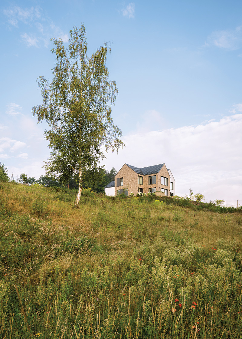 Svažitý pozemek - Atypický dům ve svahu v Polsku