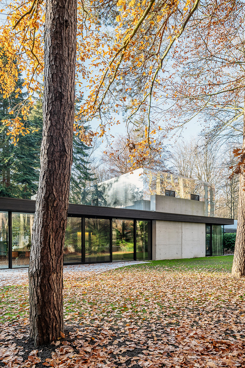 Beli House, Belgie