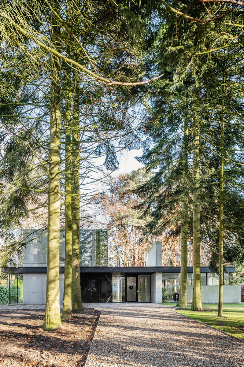 Zalesněná oblast - Rekonstrukce vily v Antverpách