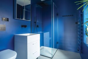 Modrá koupelna- Dům s knihovnou