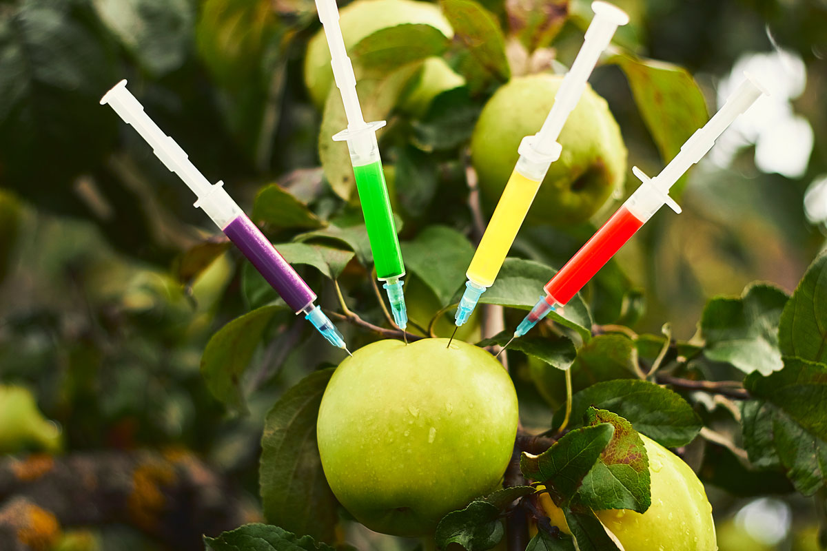 čtyři stříkačky pesticidů zabodnuté do jablka