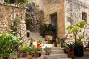 Kamenné schody na kterých jsou květiny-Grotta e Carrubo