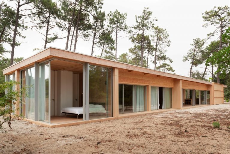 Bydlení jako v přírodě? Dům mezi stromy ze dřeva a skla to v plném rozsahu zprostředkuje
