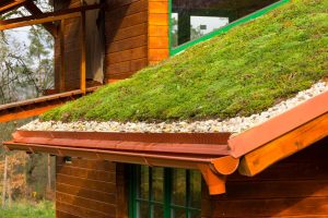 Zelená střecha na šikmé střeše