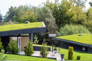 Zelené střechy na domech