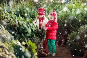 Děti a vánoční stromky
