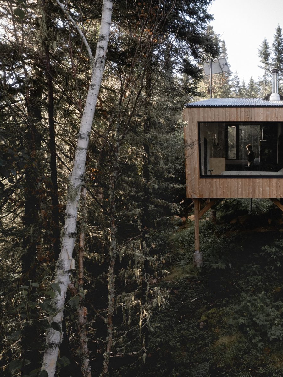 dřevěný dům v lese mezi stromy