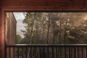 výhled z balkonu na les