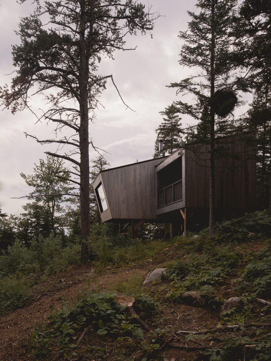 dřevěný dům v lese mezi stromy