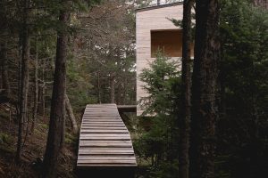 dřevěná stezka do domu v lese