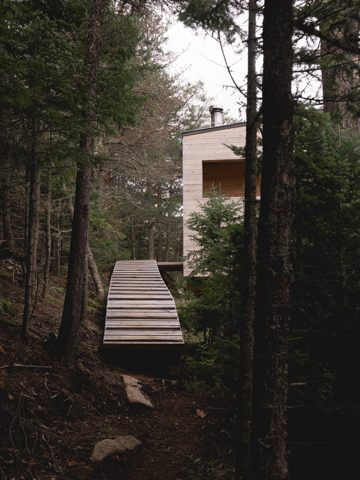 dřevěná stezka do domu v lese