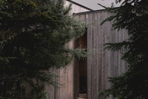dřevěný dům s vchodem v lese