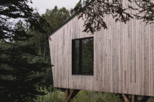 dřevěný dům s oknem v lese