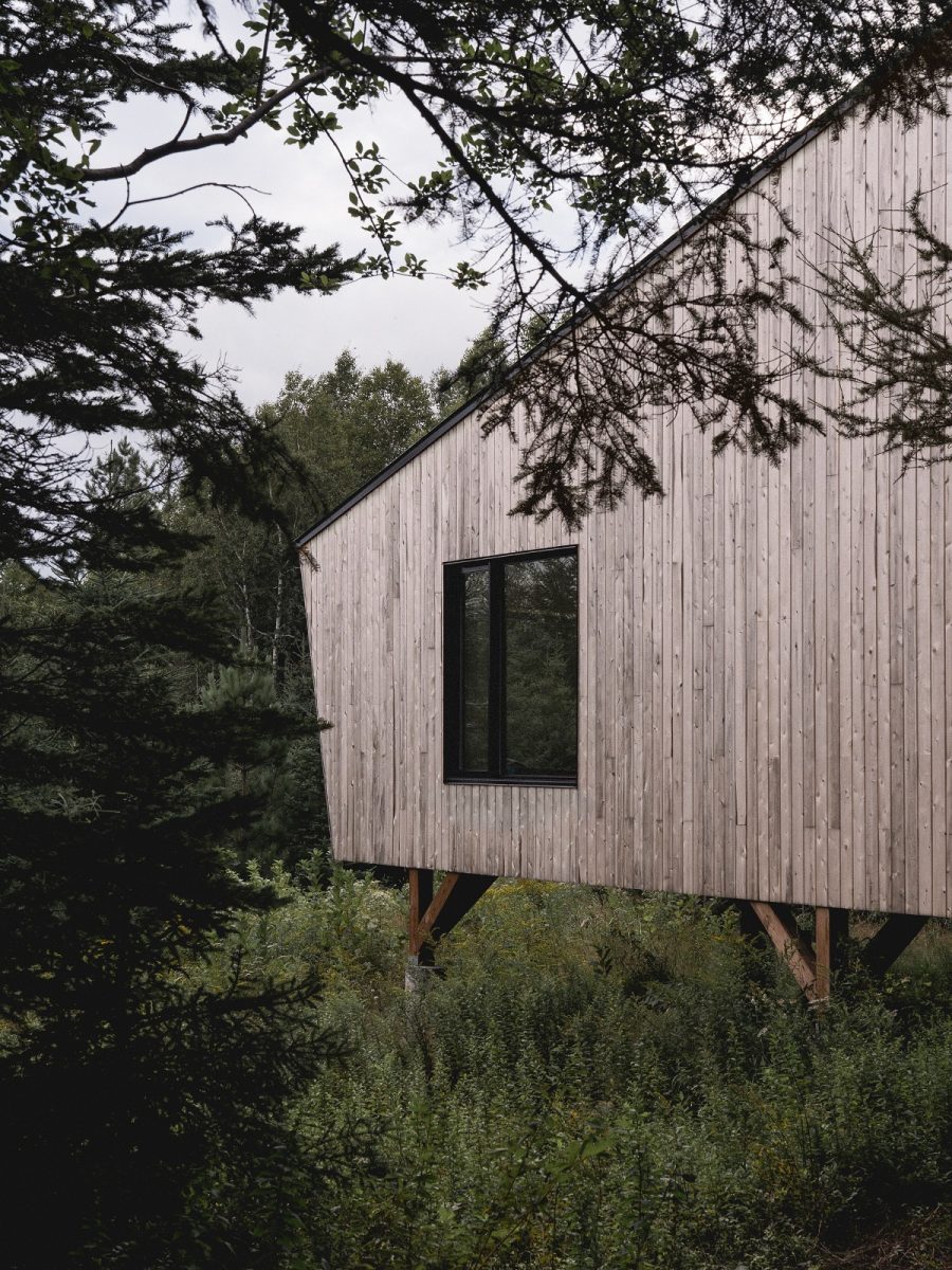 dřevěný dům s oknem v lese