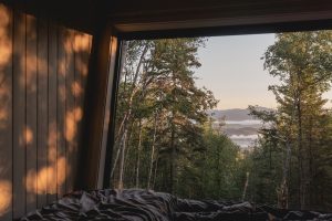 výhled z okna na les