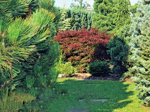 Arboretum_1_u.jpg