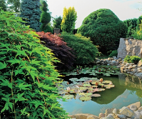Arboretum_6_u.jpg