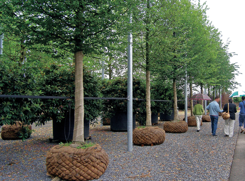 Architekt_5.jpg