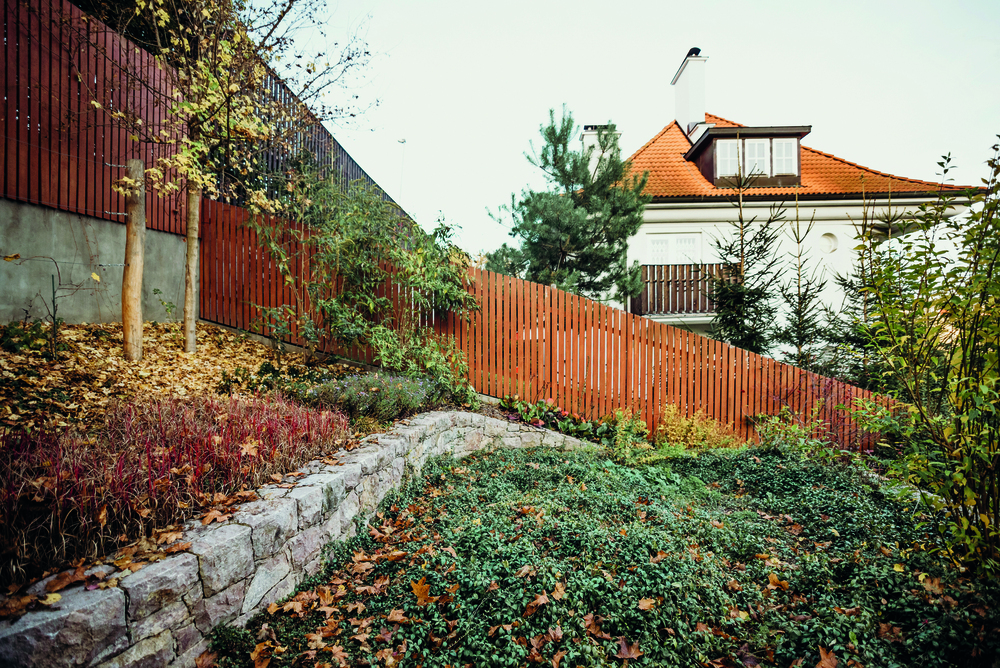 DSC_6433.zmenena-velikost.jpg