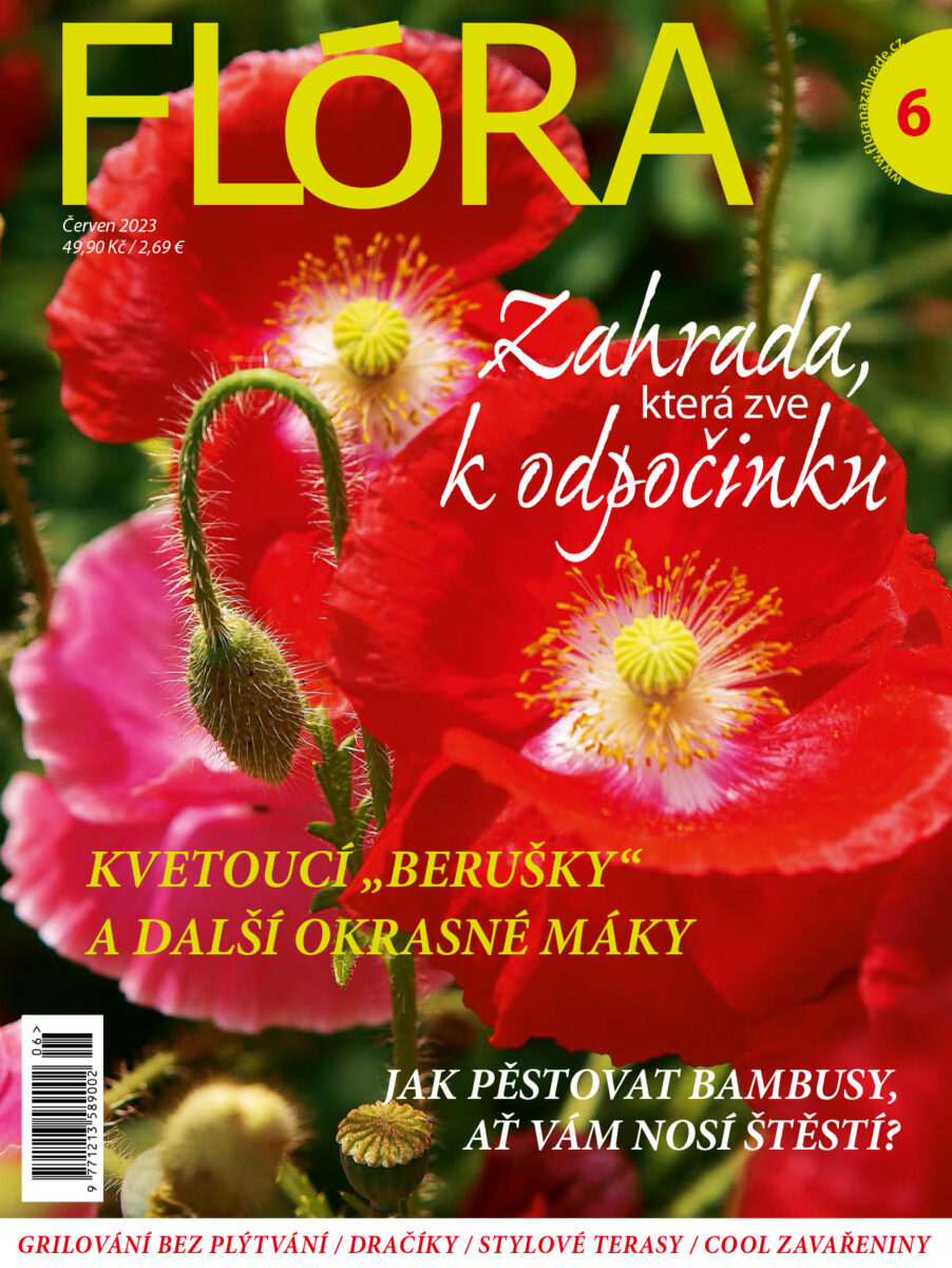 Flora-06-obalka-1.jpg