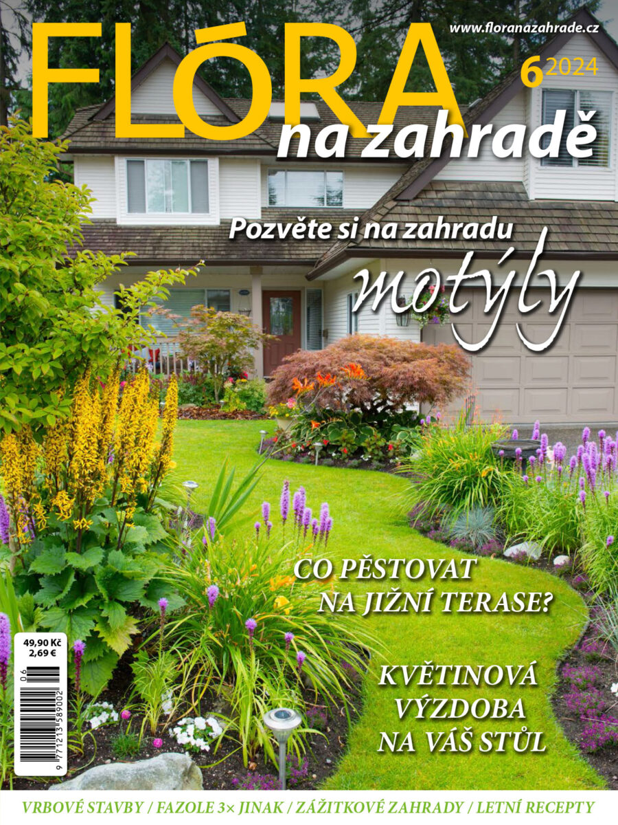 Flora-06-obalka.jpg