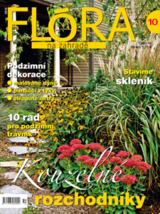 Flora-10.jpg