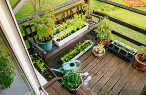 Jedlý balkon či terasa? Sklízejte samou radost