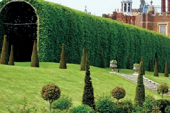 Hampton-Court_8.jpg