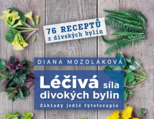 Léčivá síla divokých bylin