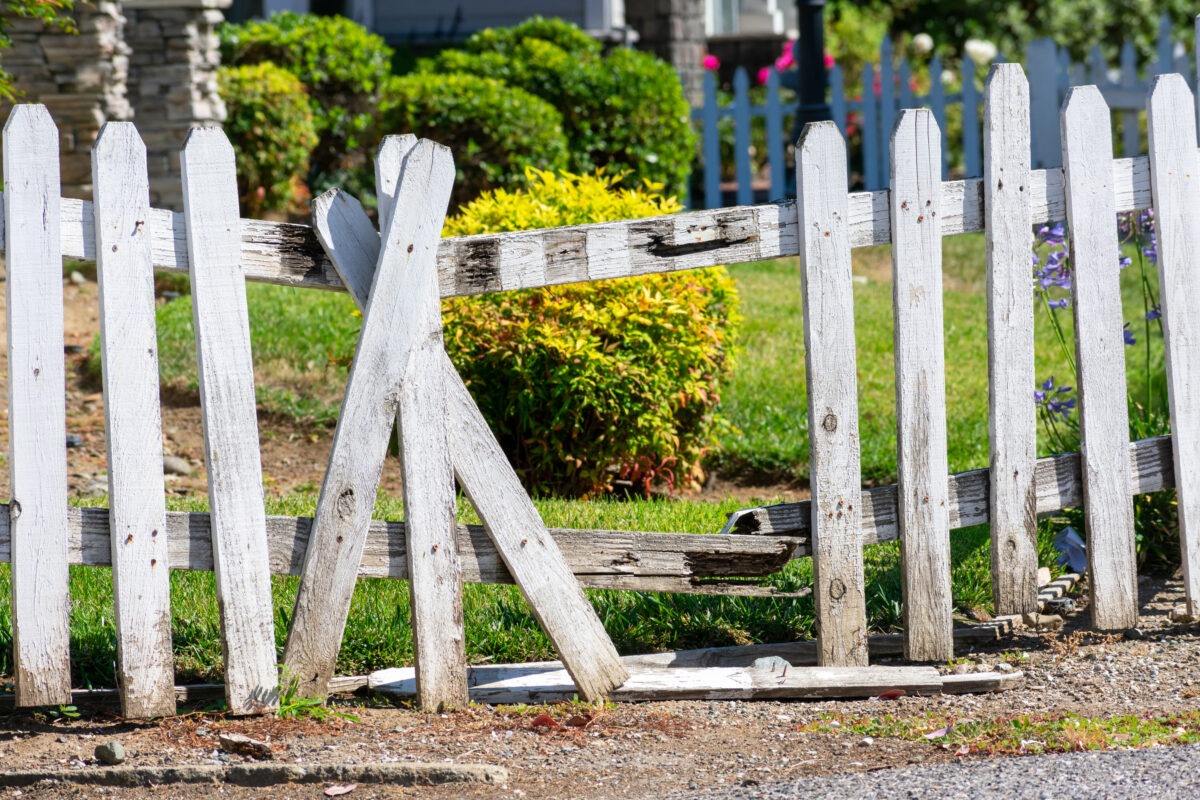 PLOTshutterstock_2013841640.jpg