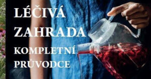 Léčivá zahrada – Kompletní průvodce