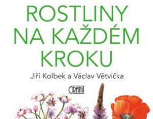 Rostliny na každém kroku