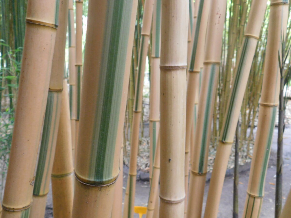 Detail-pruhy.jpg