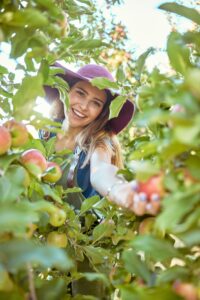 HlavniSKLIZENshutterstock_2176021947.zmenena-velikost.jpg