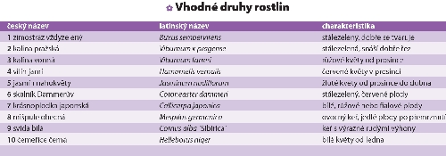 Vhodne-druhy-rostlin1.jpg