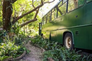 Autobus je zaparkován v lese poblíž Brisbane