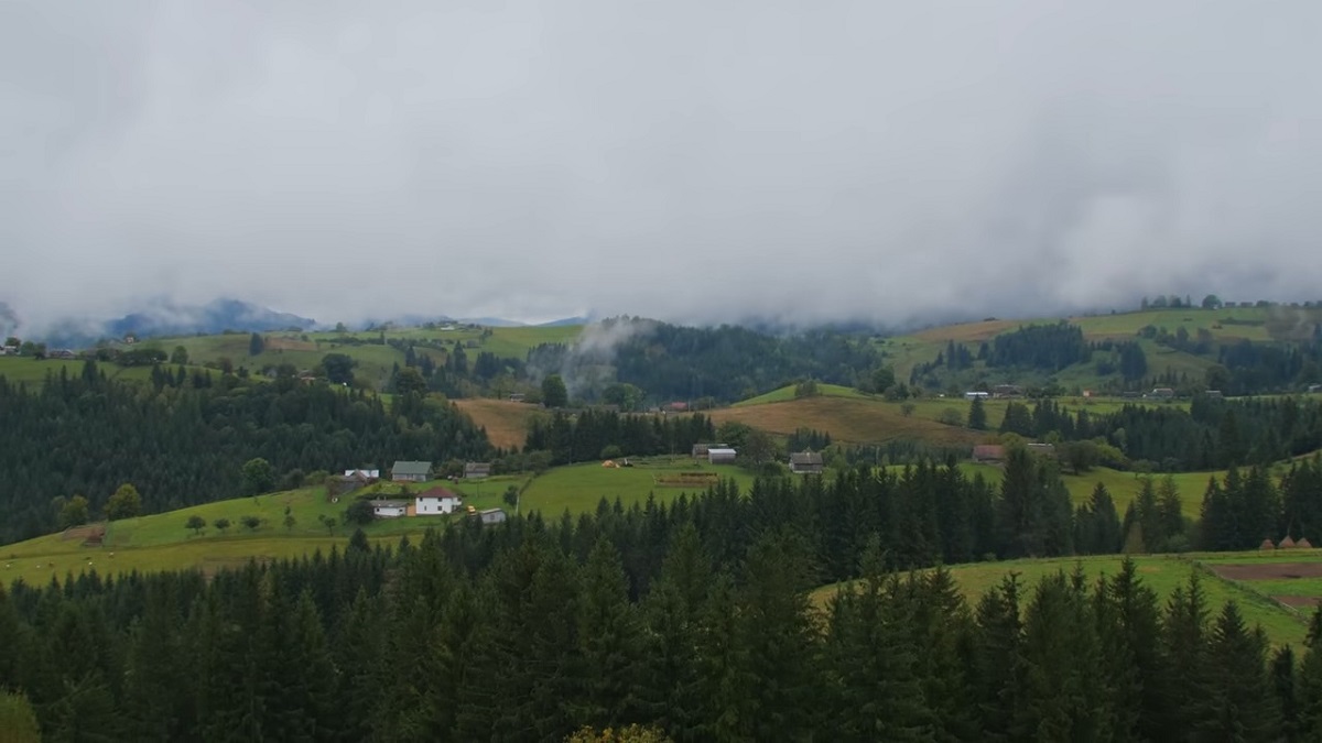 V ukrajinských Karpatech, ve vesnici Samakova, žije rodina Dmytra a Svitlany spolu s jejich pěti dětmi.