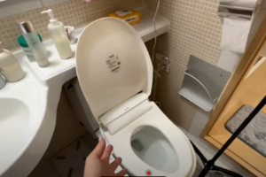 V koupelně má Anna bidet - rovněž častý úkaz v korejských domácnostech.